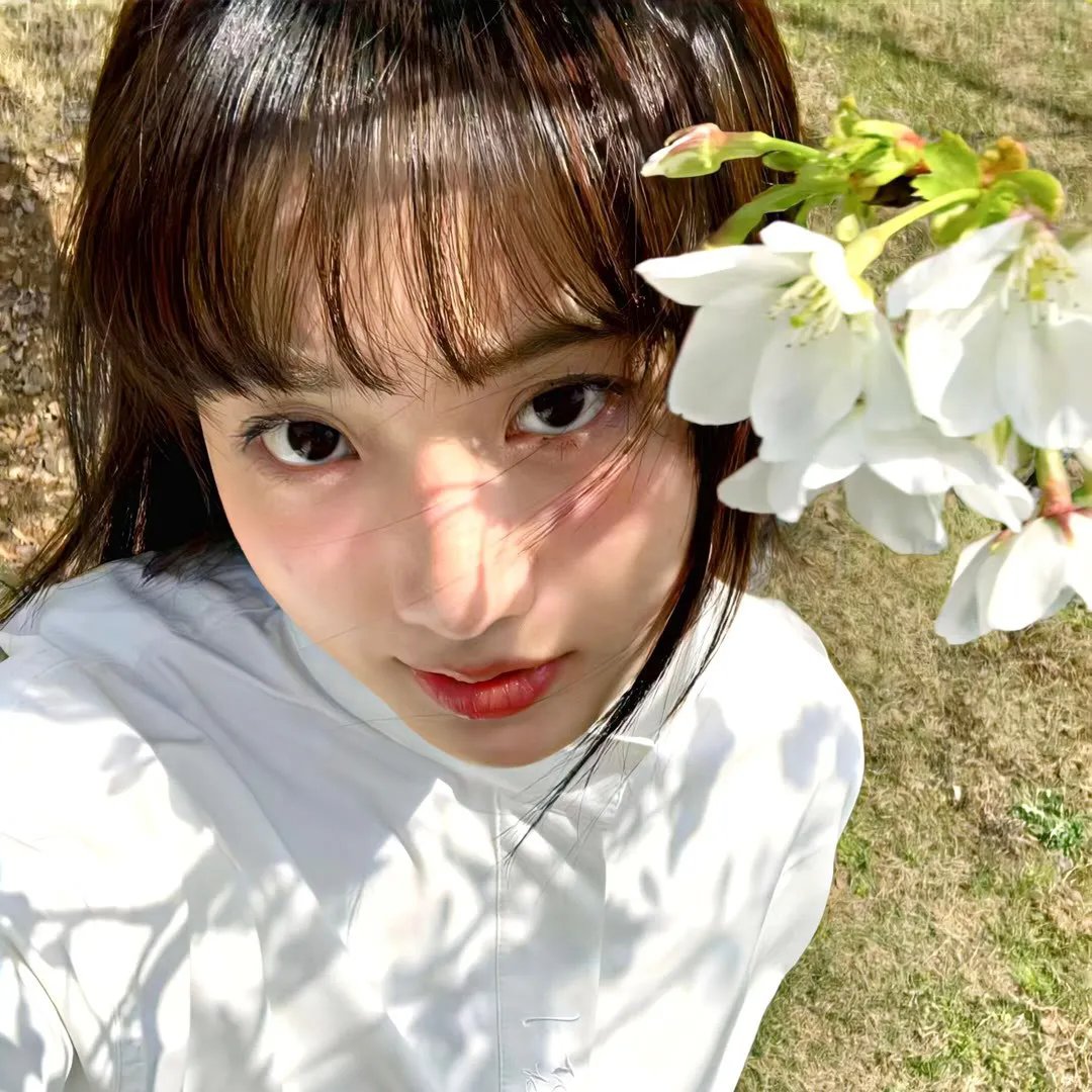 人海孤鸿